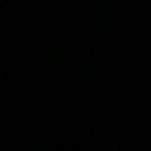 Meet your Posher, Brennen